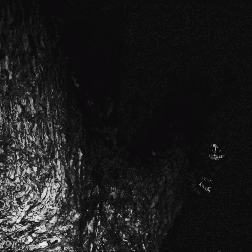 PhosphorusXV : The Nocturnal Procession (Instrumental)